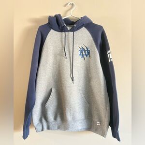 Notre dame Men's Gray and Blue Hoodie